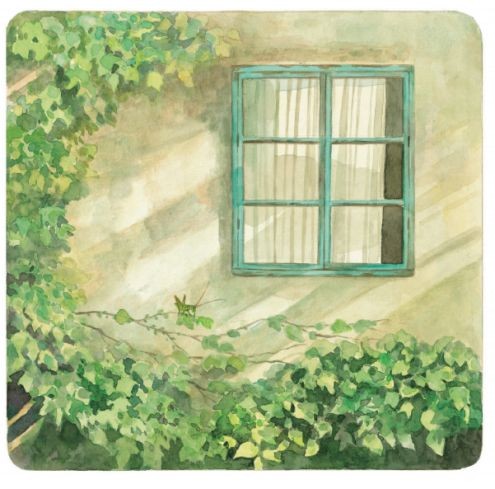 blog