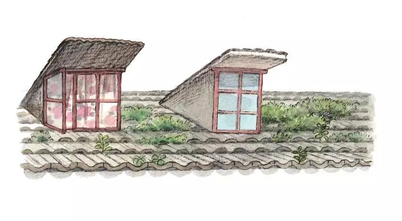 blog